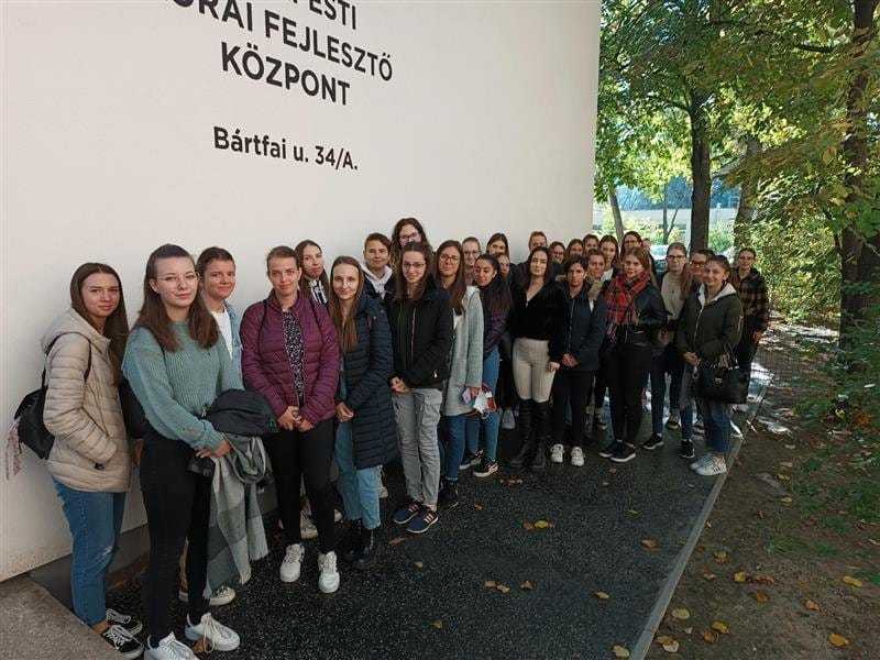 Projektnapok