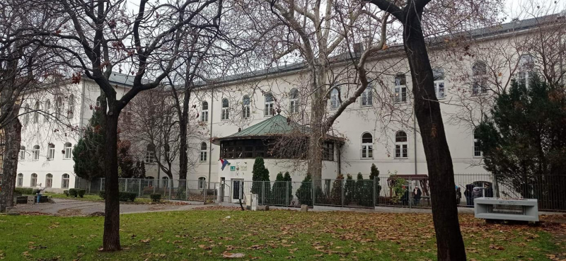 Projektnapok