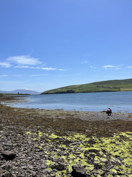 Tralee-2022-11